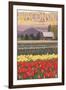 Tulip Fields - Wisconsin-Lantern Press-Framed Art Print