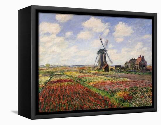 Tulip Fields with the Rijnsburg Windmill, 1886-Claude Monet-Framed Stretched Canvas