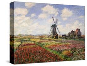 Tulip Fields with the Rijnsburg Windmill, 1886-Claude Monet-Stretched Canvas