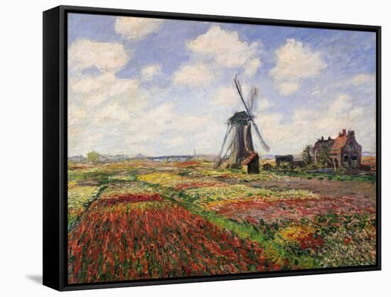 Tulip Fields with the Rijnsburg Windmill, 1886-Claude Monet-Framed Stretched Canvas