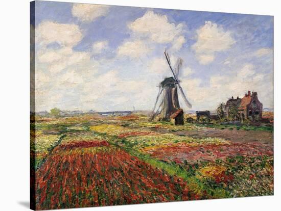 Tulip Fields with the Rijnsburg Windmill, 1886-Claude Monet-Stretched Canvas