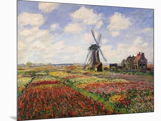 Tulip Fields with the Rijnsburg Windmill, 1886-Claude Monet-Mounted Giclee Print