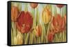 Tulip Fields-Lisa Audit-Framed Stretched Canvas
