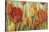 Tulip Fields-Lisa Audit-Stretched Canvas