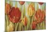 Tulip Fields-Lisa Audit-Mounted Giclee Print