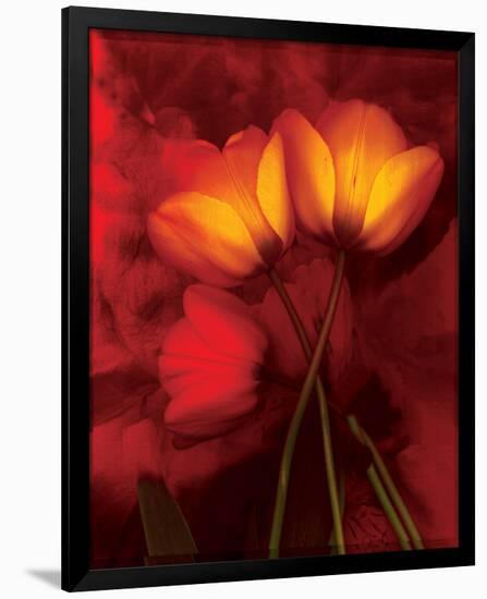 Tulip Fiesta in Red and Yellow I-Richard Sutton-Framed Premium Giclee Print