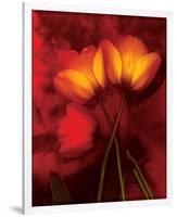 Tulip Fiesta in Red and Yellow I-Richard Sutton-Framed Premium Giclee Print