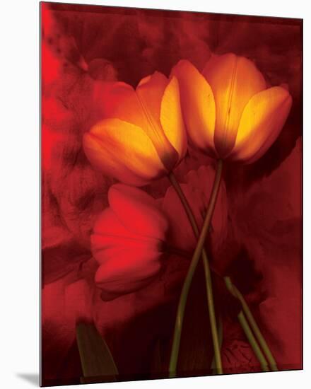 Tulip Fiesta in Red and Yellow I-Richard Sutton-Mounted Premium Giclee Print