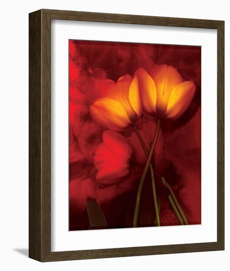 Tulip Fiesta in Red and Yellow I-Richard Sutton-Framed Art Print