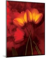 Tulip Fiesta in Red and Yellow I-Richard Sutton-Mounted Art Print