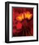 Tulip Fiesta in Red and Yellow I-Richard Sutton-Framed Art Print