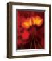 Tulip Fiesta in Red and Yellow I-Richard Sutton-Framed Art Print