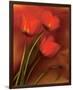 Tulip Fiesta in Red and Yellow II-Richard Sutton-Framed Premium Giclee Print