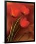 Tulip Fiesta in Red and Yellow II-Richard Sutton-Framed Premium Giclee Print