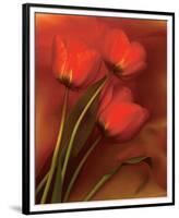 Tulip Fiesta in Red and Yellow II-Richard Sutton-Framed Premium Giclee Print