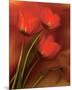 Tulip Fiesta in Red and Yellow II-Richard Sutton-Mounted Premium Giclee Print