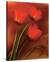 Tulip Fiesta in Red and Yellow II-Richard Sutton-Stretched Canvas