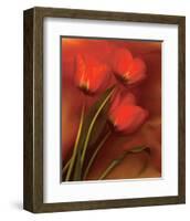 Tulip Fiesta in Red and Yellow II-Richard Sutton-Framed Art Print