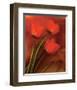 Tulip Fiesta in Red and Yellow II-Richard Sutton-Framed Art Print