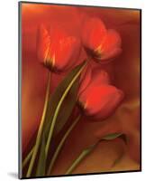 Tulip Fiesta in Red and Yellow II-Richard Sutton-Mounted Art Print