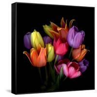 Tulip Flame-Magda Indigo-Framed Stretched Canvas