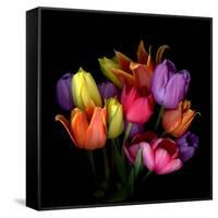 Tulip Flame-Magda Indigo-Framed Stretched Canvas