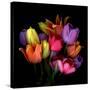 Tulip Flame-Magda Indigo-Stretched Canvas