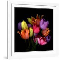 Tulip Flame-Magda Indigo-Framed Photographic Print