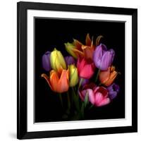 Tulip Flame-Magda Indigo-Framed Photographic Print