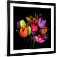 Tulip Flame-Magda Indigo-Framed Photographic Print