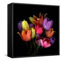 Tulip Flame-Magda Indigo-Framed Stretched Canvas