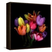 Tulip Flame-Magda Indigo-Framed Stretched Canvas