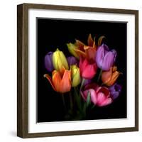 Tulip Flame-Magda Indigo-Framed Photographic Print