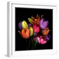 Tulip Flame-Magda Indigo-Framed Photographic Print