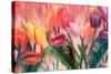 Tulip Flamenco-Mindy Sommers-Stretched Canvas