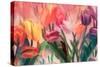 Tulip Flamenco-Mindy Sommers-Stretched Canvas