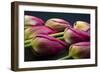 Tulip Flower - Macro Photo-Daniil Belyay-Framed Photographic Print