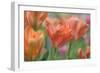 Tulip Flower Orange Wings-Cora Niele-Framed Photographic Print