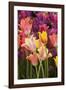 Tulip Flowers in Red and Yellow-Richard T. Nowitz-Framed Photographic Print