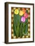 Tulip Flowers-Kate Ward Thacker-Framed Giclee Print