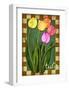 Tulip Flowers-Kate Ward Thacker-Framed Giclee Print