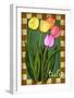 Tulip Flowers-Kate Ward Thacker-Framed Giclee Print