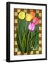 Tulip Flowers-Kate Ward Thacker-Framed Giclee Print