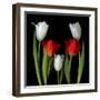 Tulip Frazzle-Magda Indigo-Framed Photographic Print