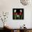 Tulip Frazzle-Magda Indigo-Photographic Print displayed on a wall