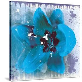 Tulip Fresco (blue)-Erin Clark-Stretched Canvas