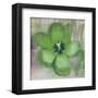 Tulip Fresco (green)-Erin Clark-Framed Art Print