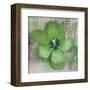 Tulip Fresco (green)-Erin Clark-Framed Art Print