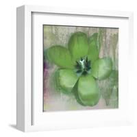 Tulip Fresco (green)-Erin Clark-Framed Art Print