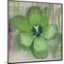 Tulip Fresco (green)-Erin Clark-Mounted Art Print